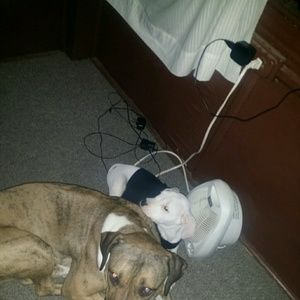 Meet your Posher, Daryl